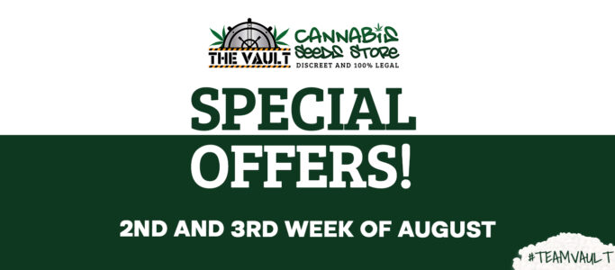 The Vault – Top Promos- 2nd and 3rd Week of August 2022!