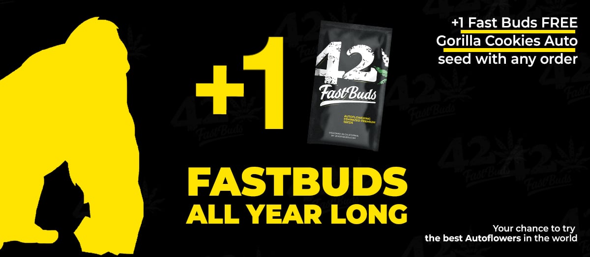 Fastbuds All Calendar year Very long!