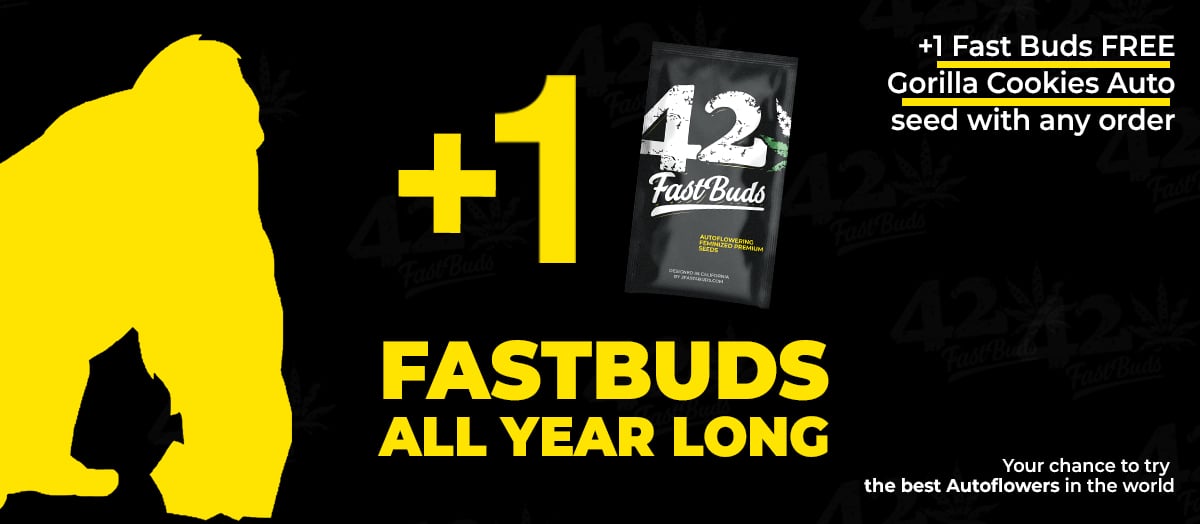 Fastbuds All Year Long