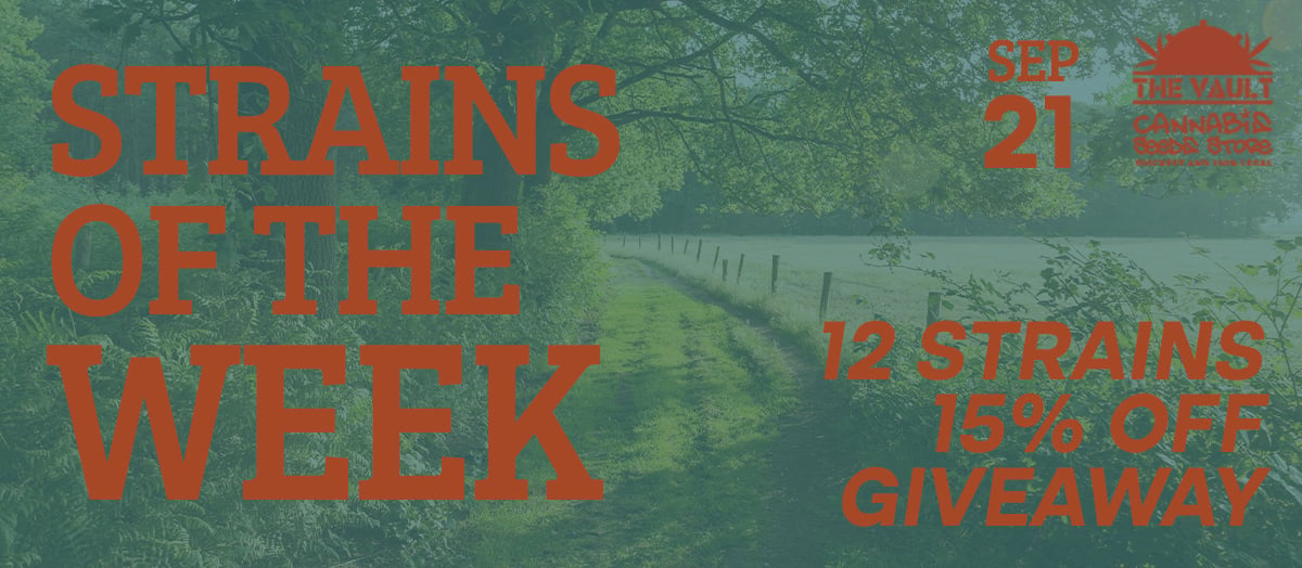 Strains of the Week Giveaway – September 14 to 21 of 2022