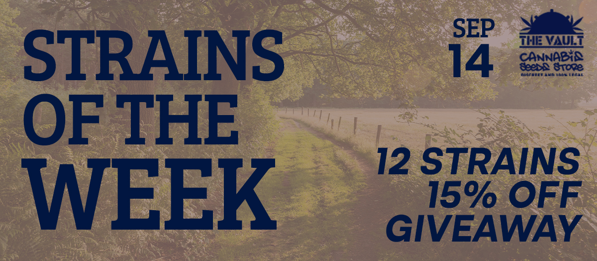 Strains of the Week Giveaway – September 7 to 14 of 2022