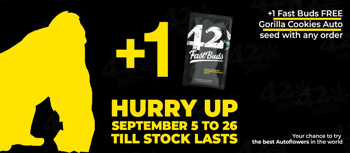 Fastbuds Plus The Vault Equals Free Seeds!