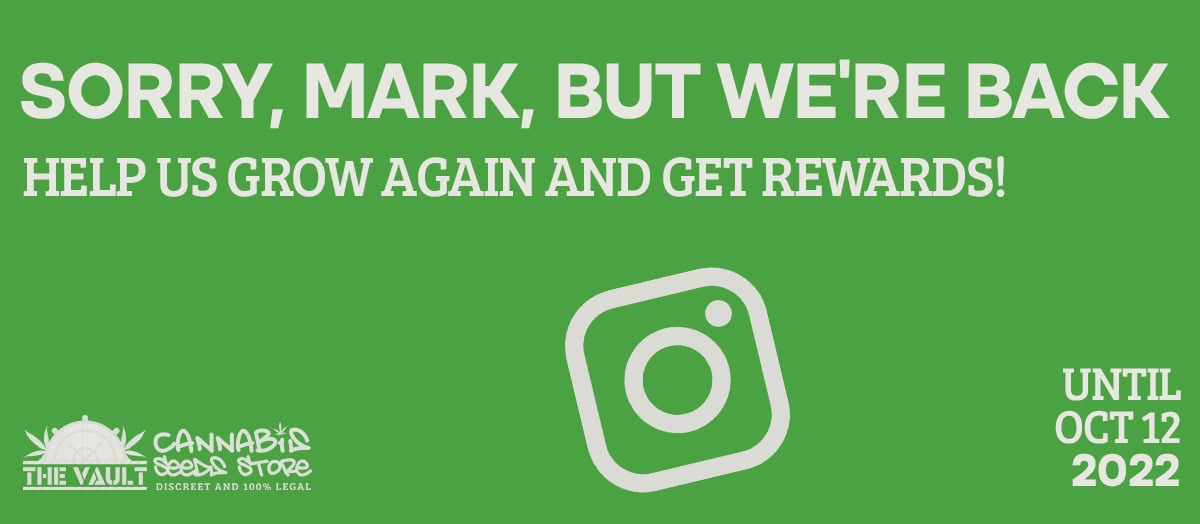 Instagram, We Are Back