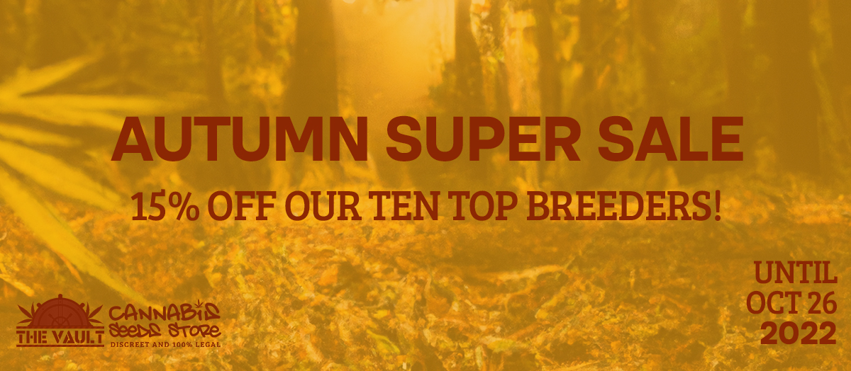 Autumn Super Sale 1