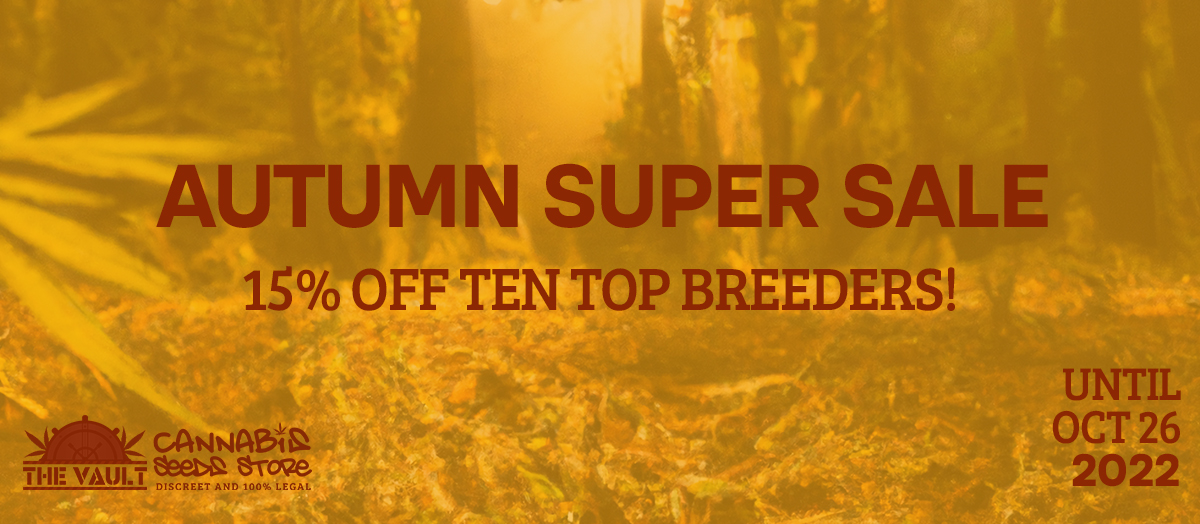 Autumn Super Sale at The Vault!