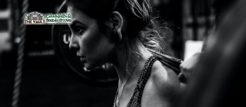 Fitness For Stoners Fitness For Stoners