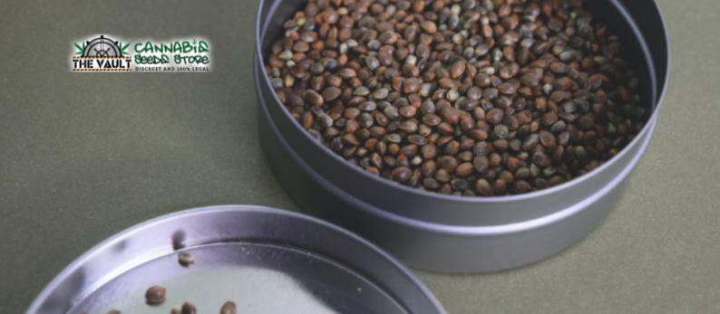 Hemp The Superfood Part 1 Hemp The Superfood Part 1
