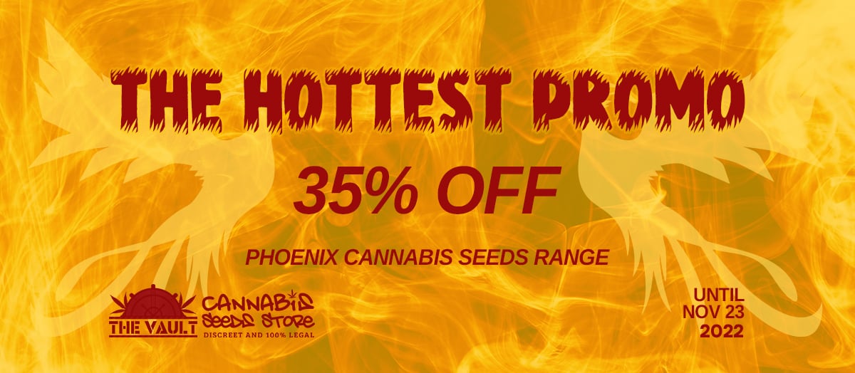 35% Off Phoenix Hashish Seeds – A Flame-boyant Promo!