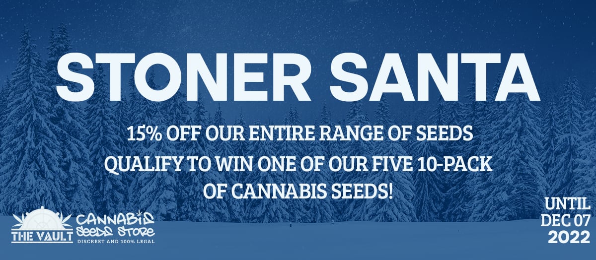 Stoner Santa Is Coming To City! Promo+Giveaway