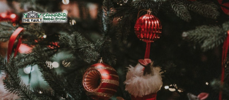 Best Strains For Your Big Family Christmas 1 Best Strains For Your Big Family Christmas 1
