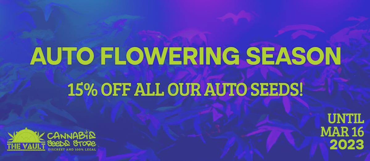 Spring We Are Waiting For You Promo Giveaway