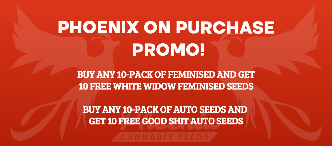 Phoenix Cannabis Seeds 10+10 Super Promo!