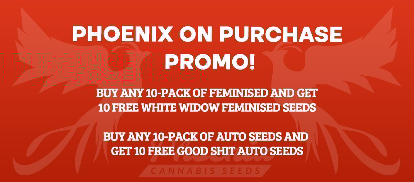 Phoenix Cannabis Seeds 10+10 Super Promo!