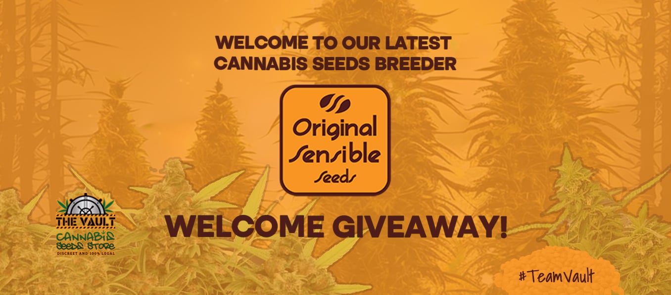 Original Sensible Seeds New Breeder! Giveaway