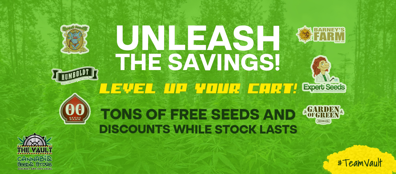 Unleash the Savings Spectacular New Deals