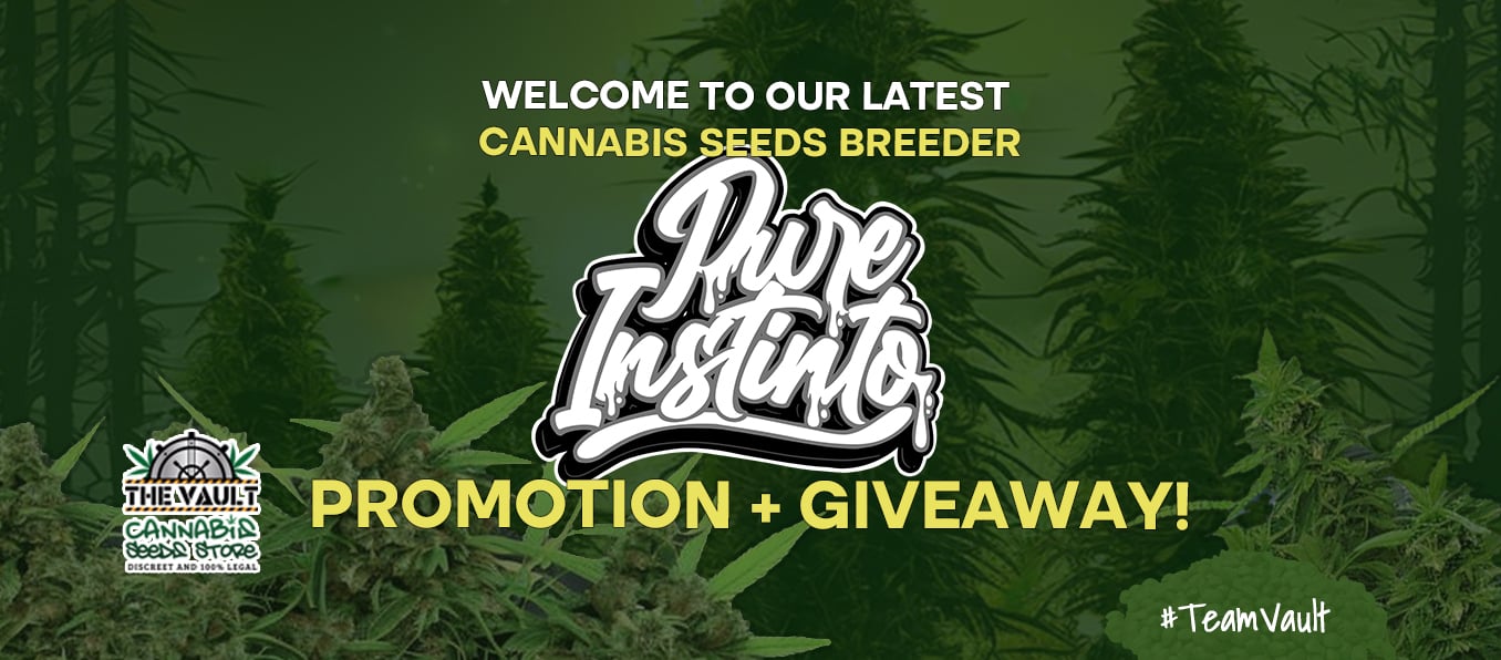 Welcome To Our Latest Cannabis Seeds Breeder Pure Instinto! Promo & Giveaway!