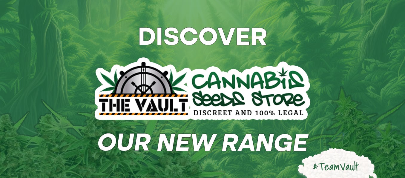 Rediscovering New Cannabis Seeds The Vault Genetics Evolution