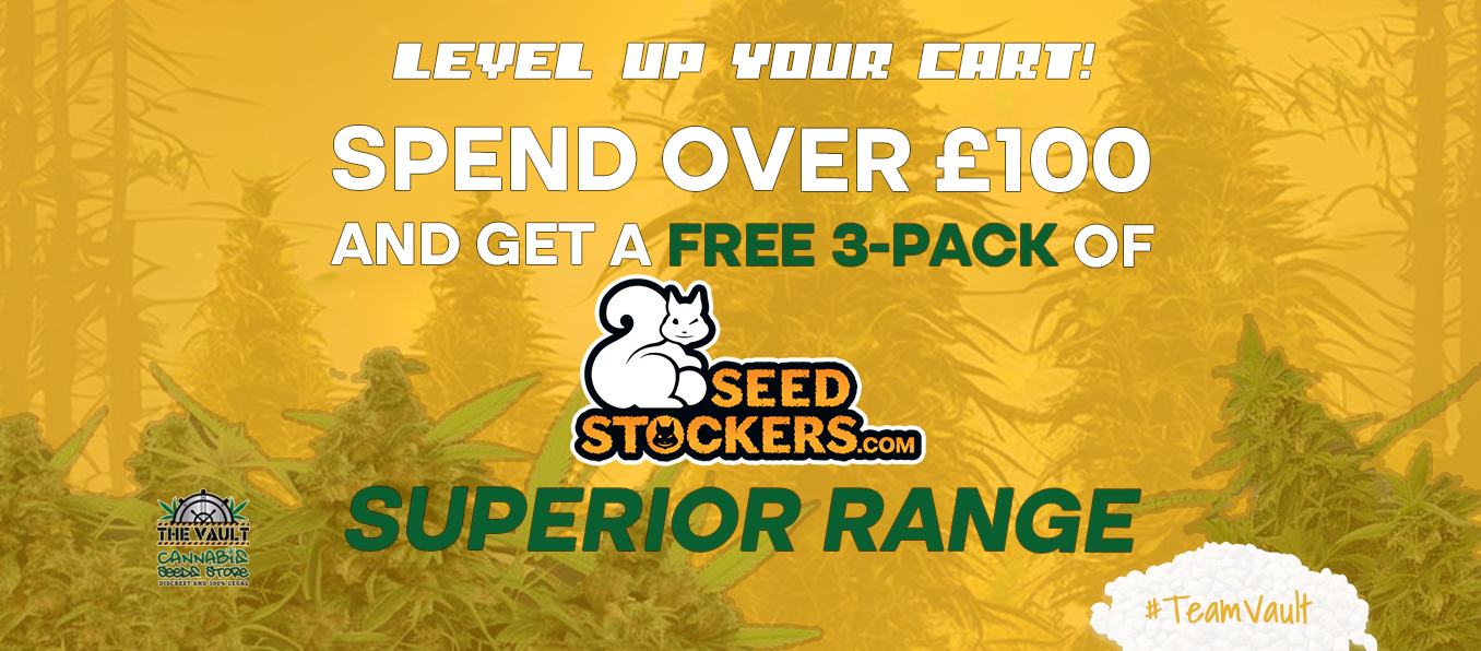 Get 3 FREE Seedstockers Superior Seeds with every £100 + Purchase!