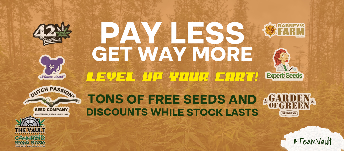 New Promos Pay Less Get More!