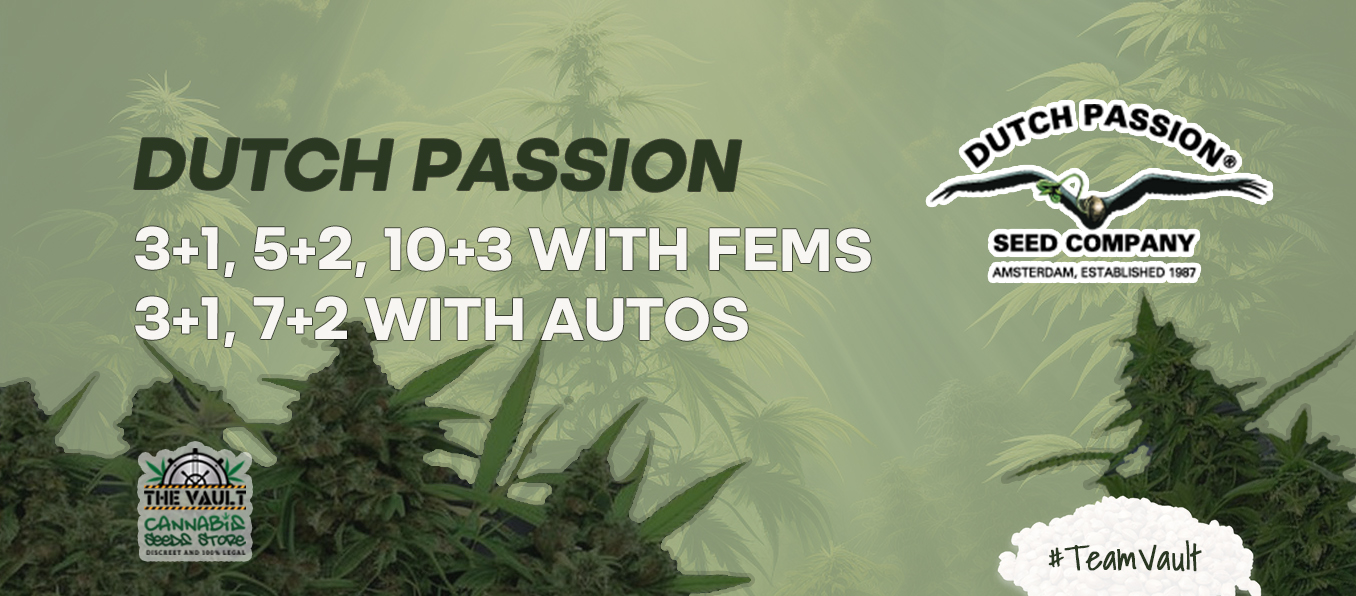 Dutch Passion 150 Seeds Giveaway Promo and Freebies