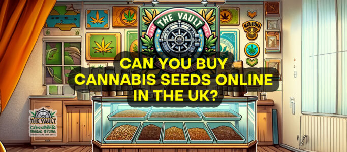 Can You Buy Cannabis Seeds Online In The UK?