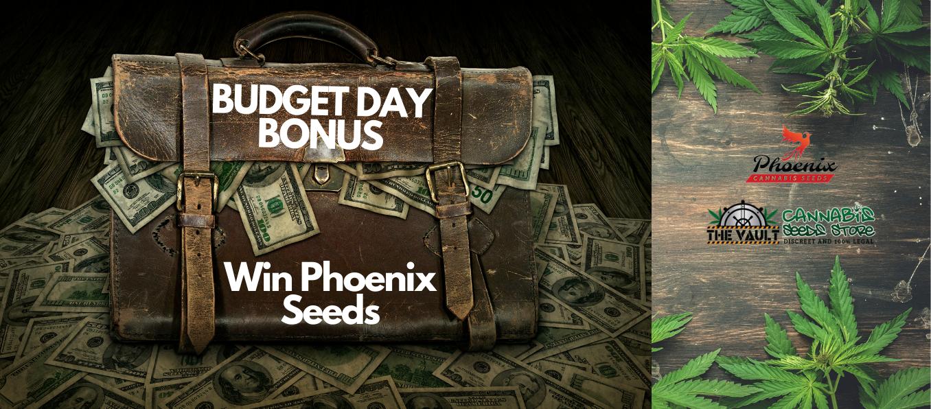 Win Cannabis Seeds