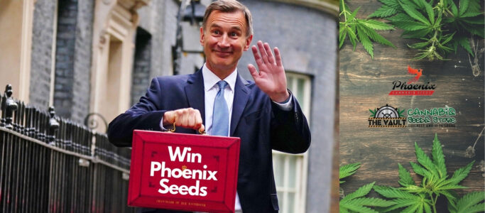 Budget Day Bonus from Phoenix Seeds – Win a 10 pack