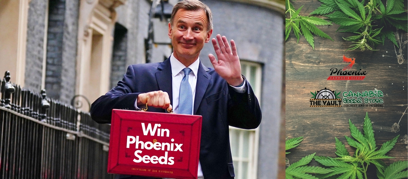 Budget Day Bonus from Phoenix Seeds - Win a 10 pack