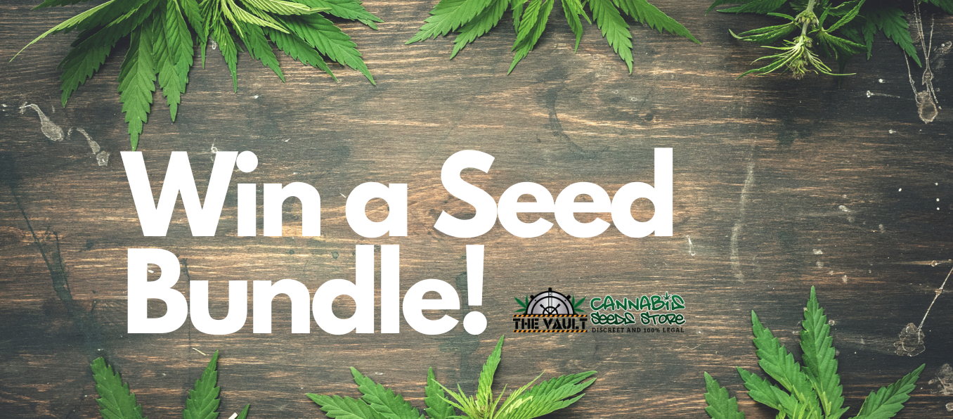Vault Cannabis Seeds Bundle Giveaway