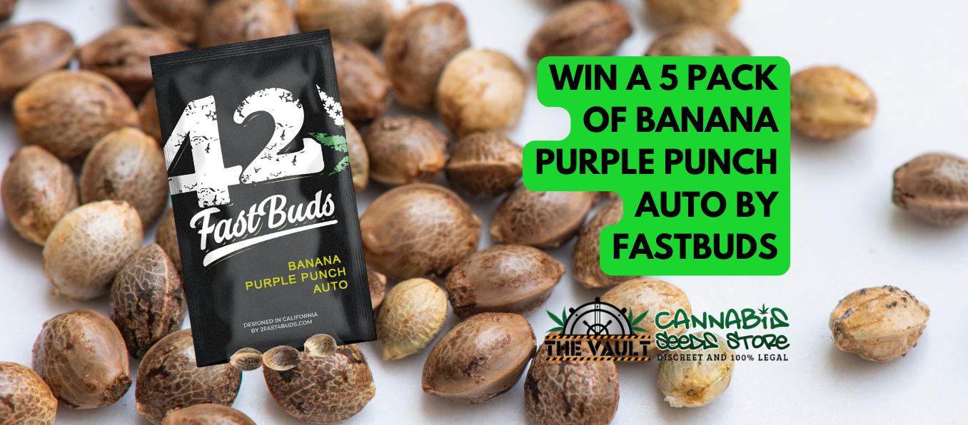 Fastbuds Cannabis Seeds