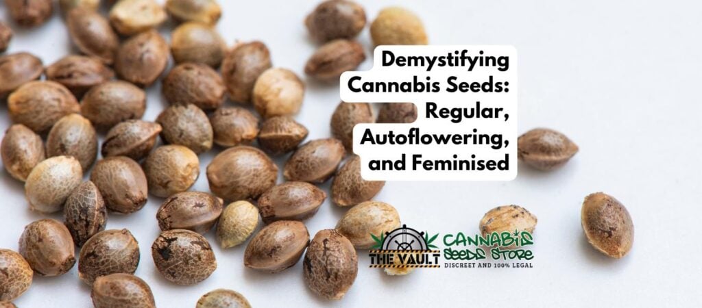 Regular Cannabis Seeds