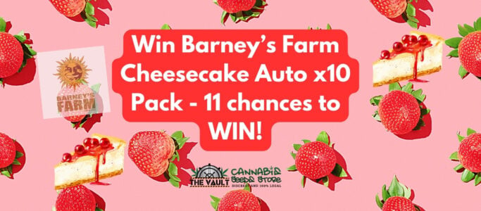 A Cheesy Cannabis Seed Promo with Barney’s Farm