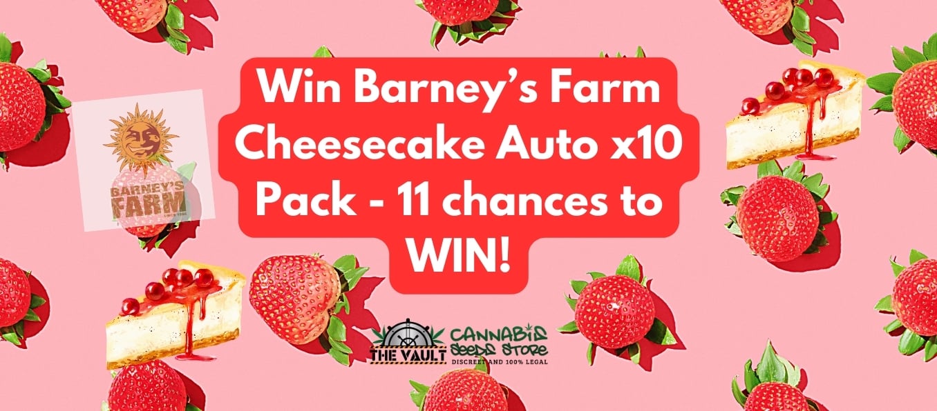 A Cheesy Cannabis Seed Promo with Barney's Farm