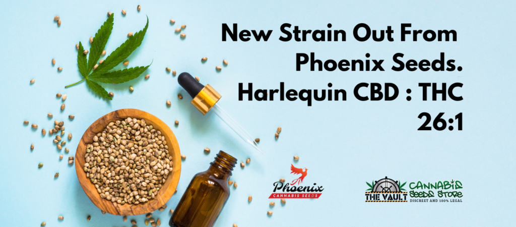 Harlequin CBD Phoenix Seeds Vault (1) Harlequin CBD Phoenix Seeds Vault