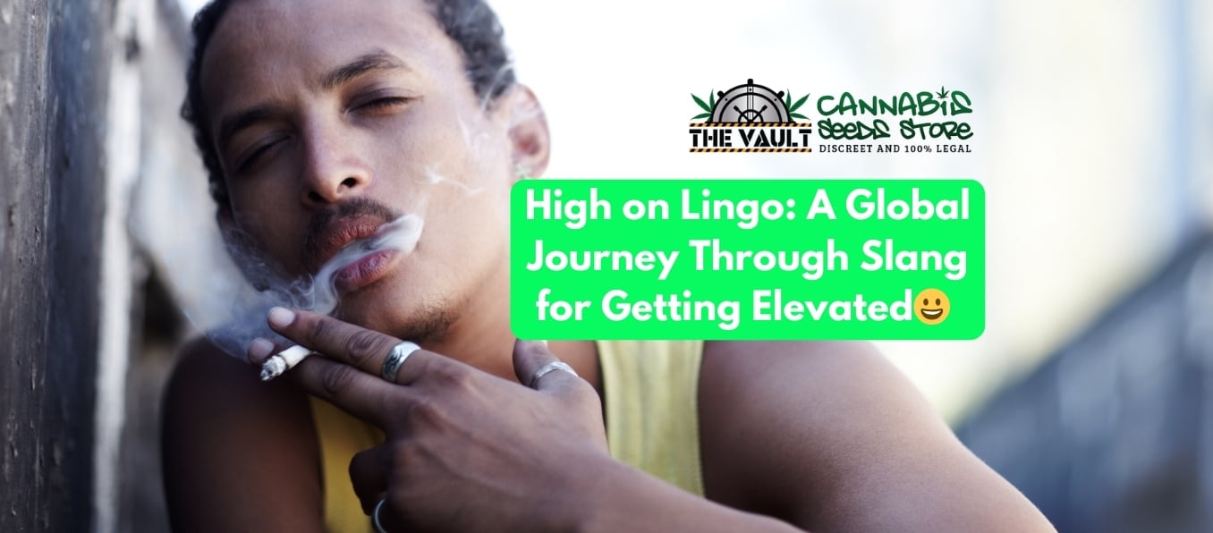 High On Lingo A Global Journey Through Slang for Getting Elevated!
