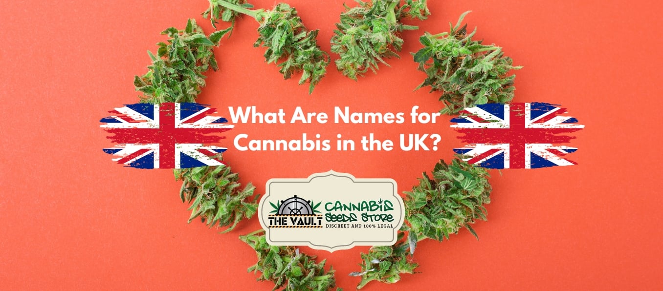 What are names for Cannabis in The UK