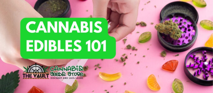 Cannabis Edibles 101
