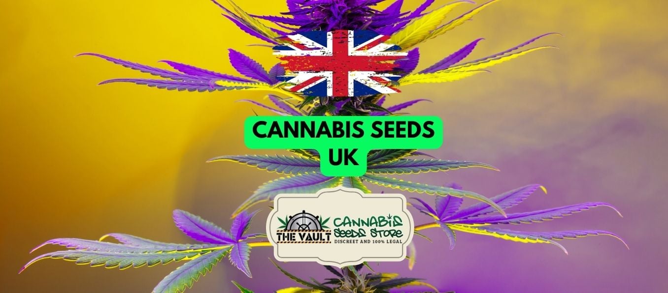 Cannabis Seeds UK