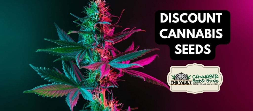 Discount Cannabis Seeds Discount Cannabis Seeds