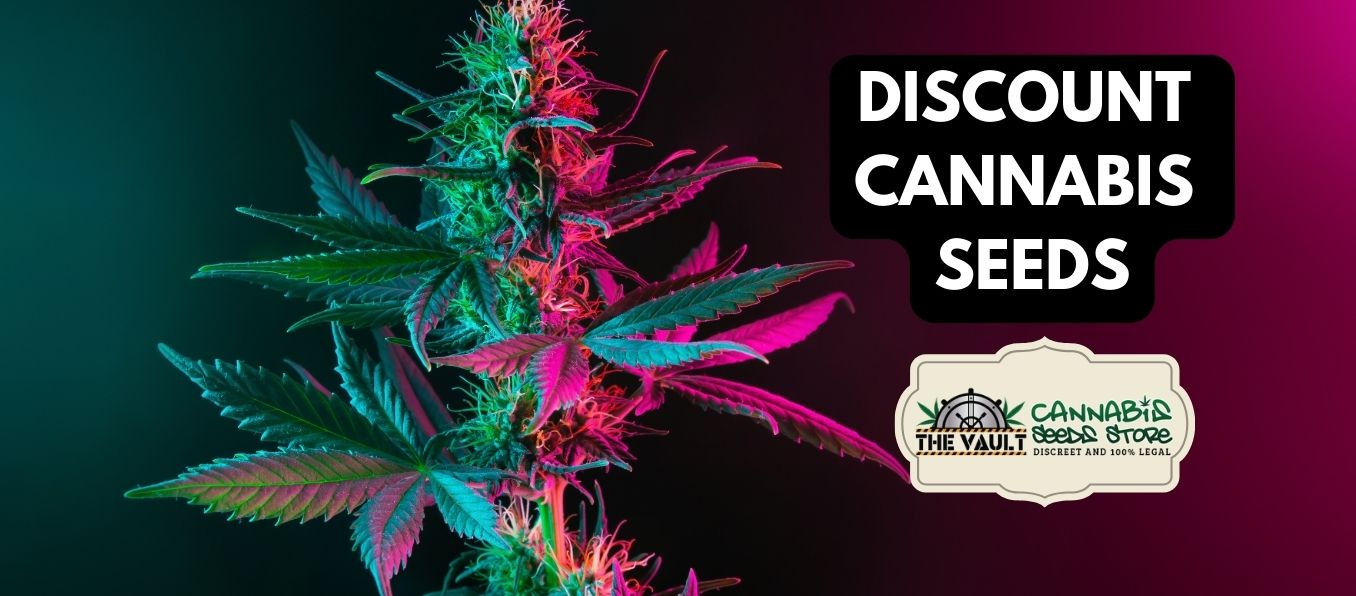 Discount Cannabis Seeds