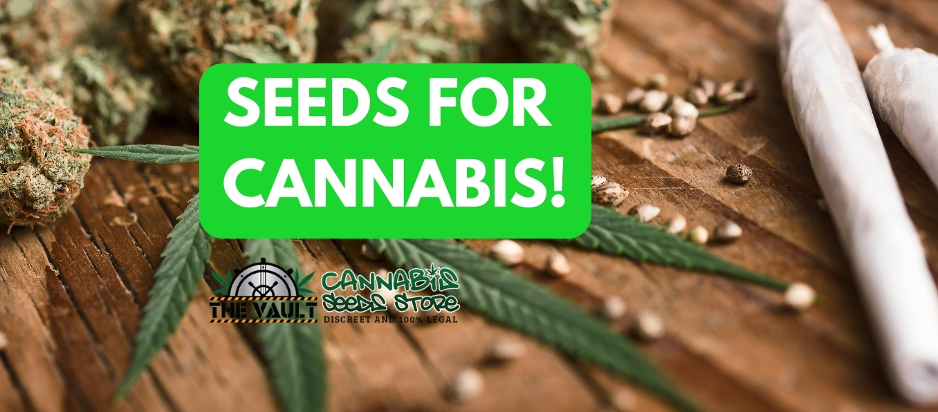 SEEDS FOR CANNABIS