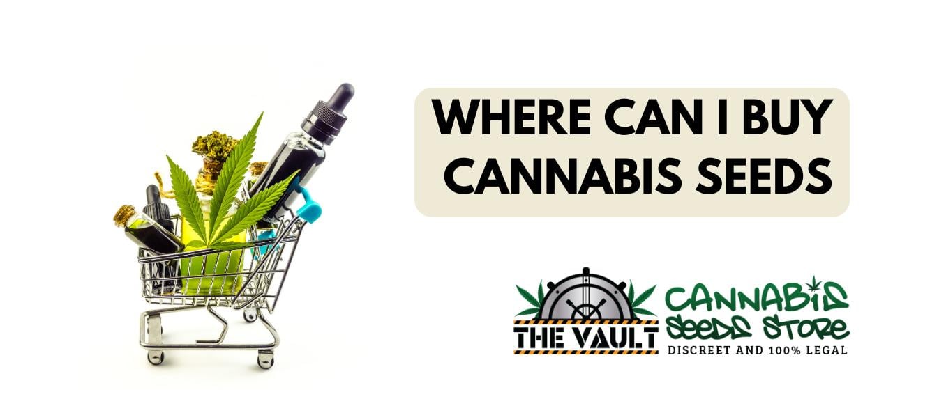 Where Can I Buy Cannabis Seeds