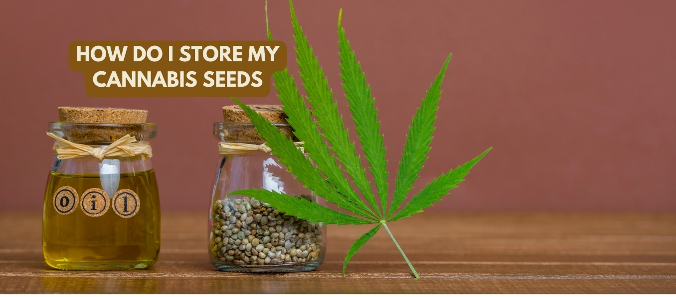 How Do I Store my Cannabis Seeds (1)