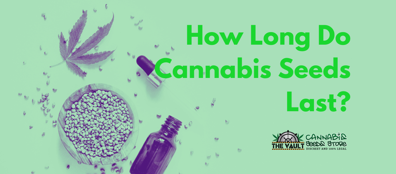 How long do Cannabis Seeds Last