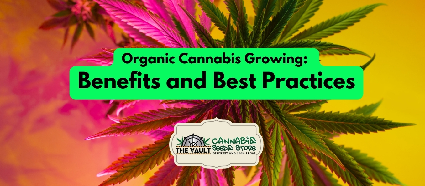 Organic Cannabis Growing Benefits and Best Practices