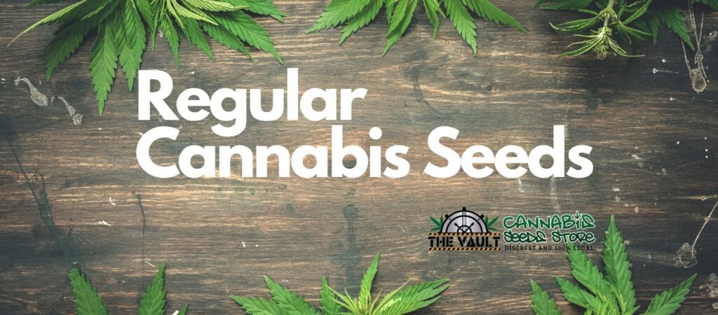 regular cannabis seeds