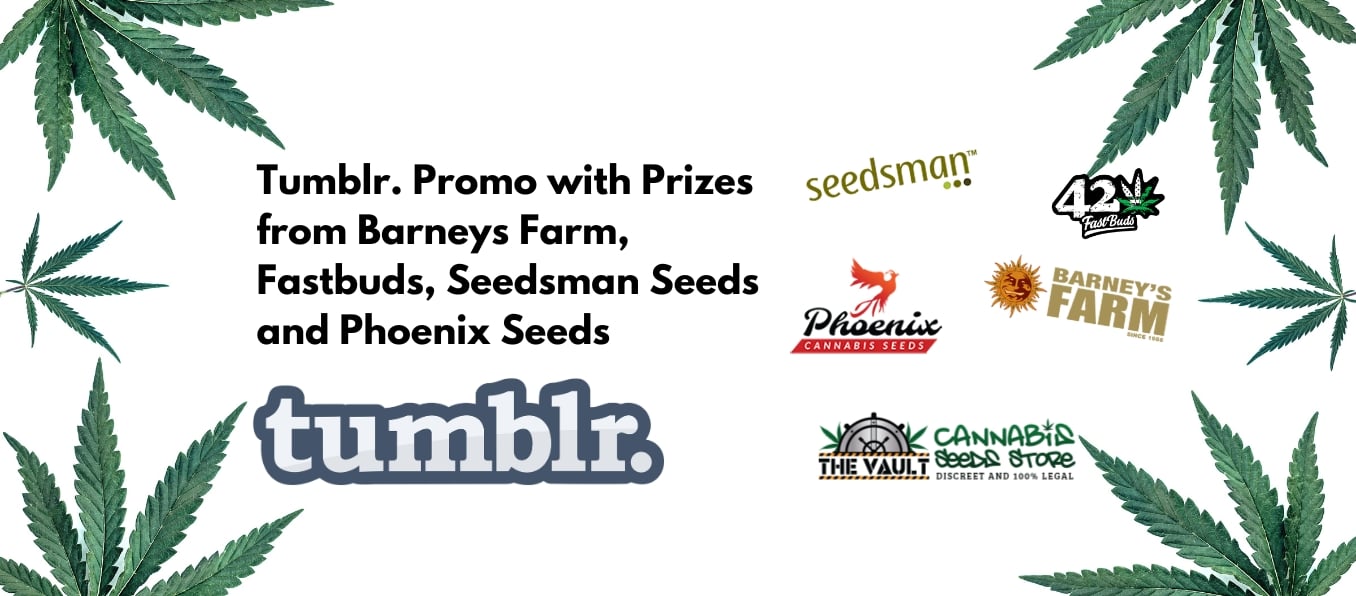 tumblr 10 cannabis seeds promo