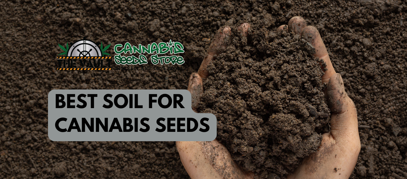 BEST SOIL FOR CANNABIS SEEDS