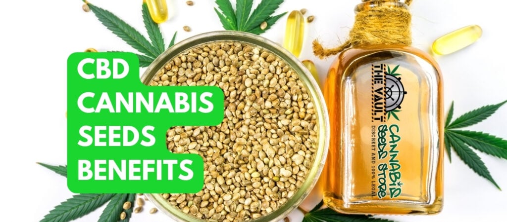 CBD CANNABIS SEEDS BENEFITS