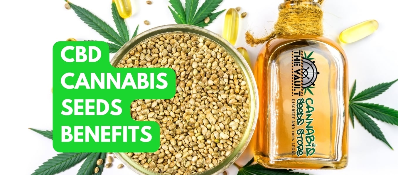 CBD CANNABIS SEEDS BENEFITS